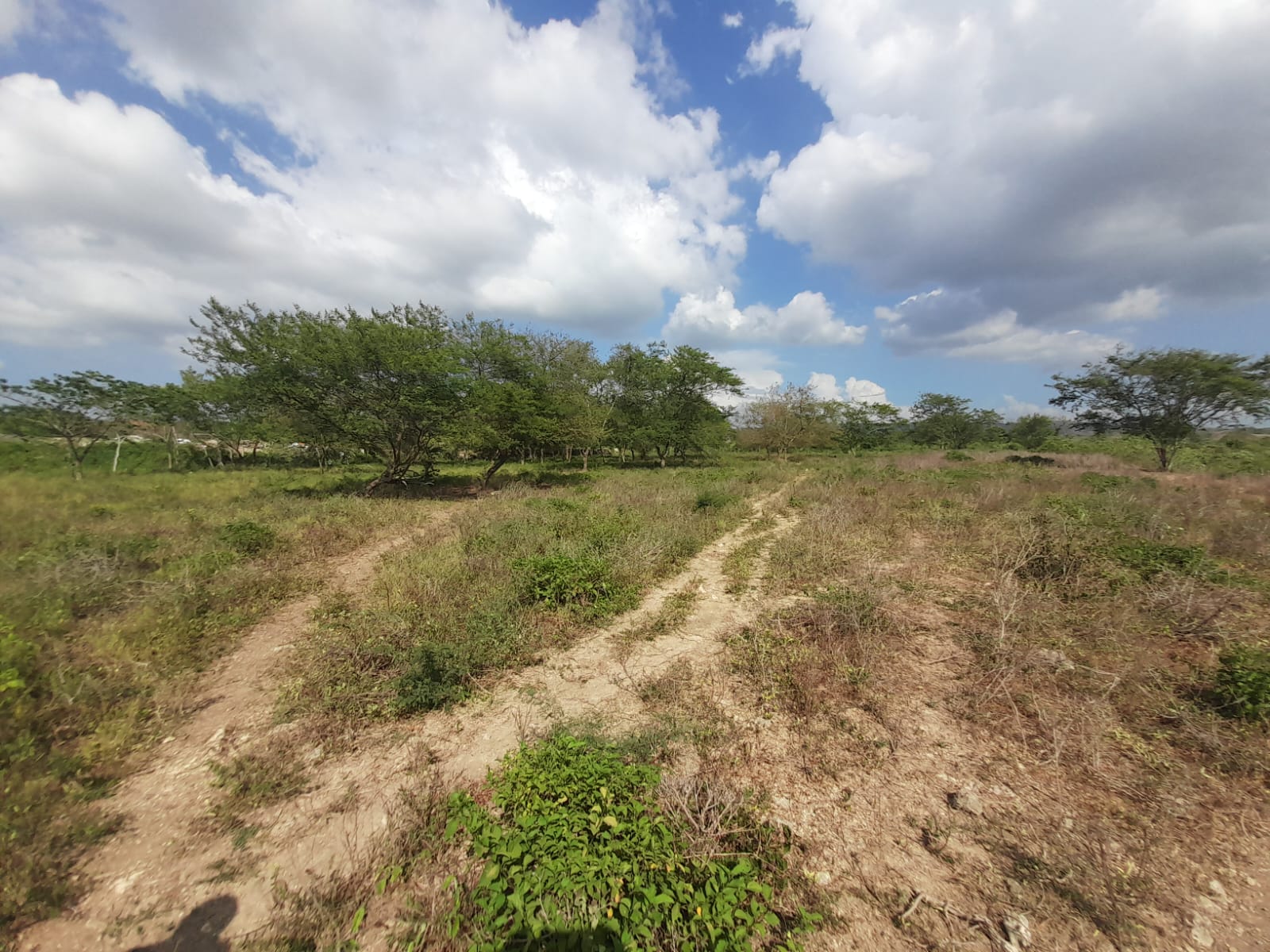 LOTE EN VENTA VARIANTE VÌA MAMONAL - CARTAGENA