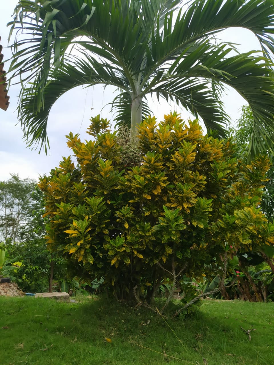 VENDO CASA FINCA ARJONA - BOLIVAR