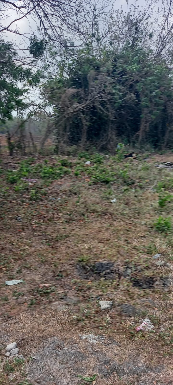 LOTE EN VENTA PONTEZUELA