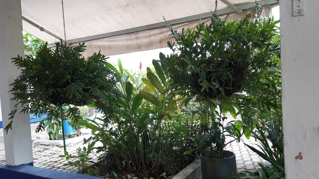 FINCA EN VENTA - ARJONA  BOLIVAR