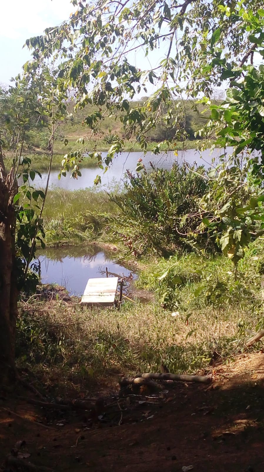FINCA EN VENTA, GAMBOTE - CARTAGENA