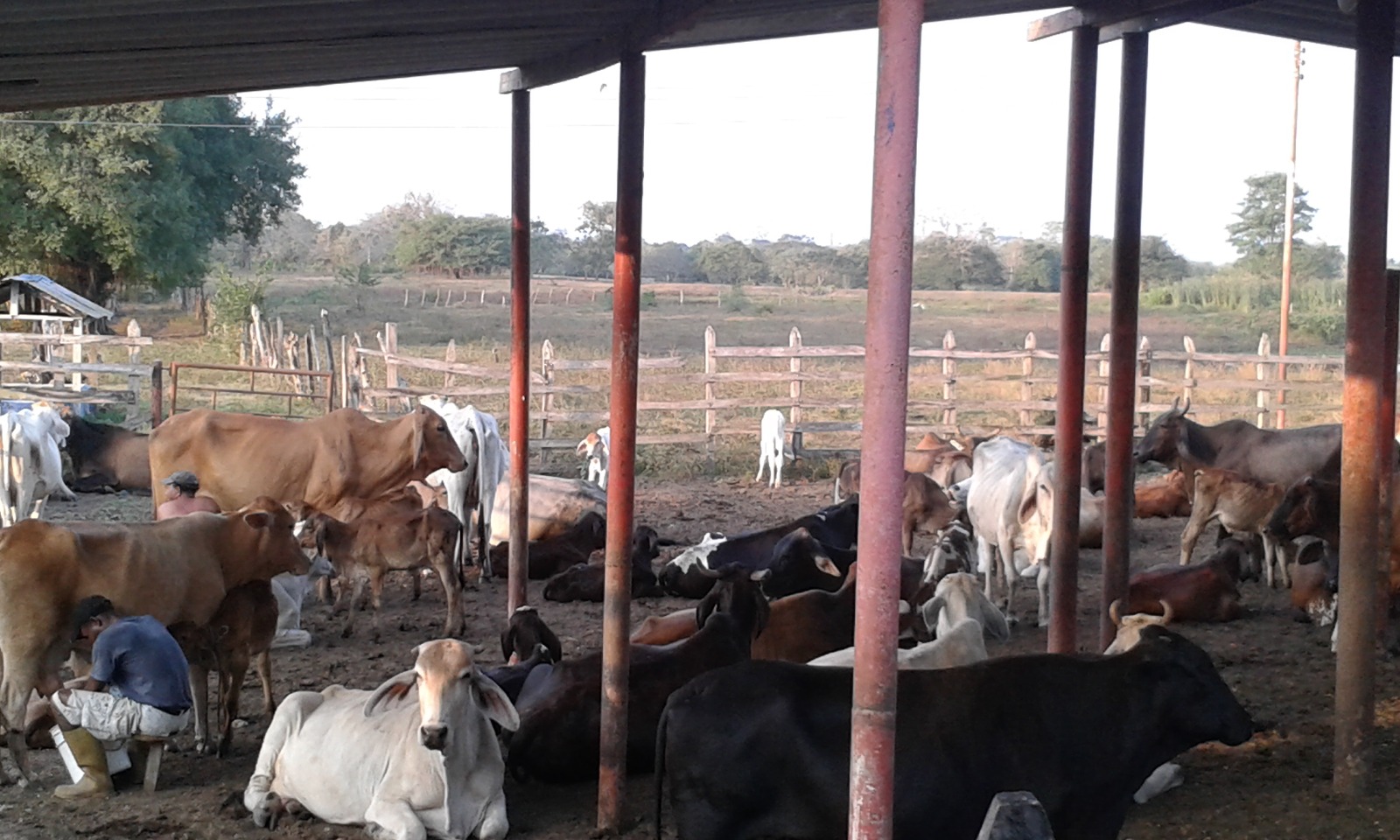 FINCA EN ARRIENDO MAHATES - CARTAGENA