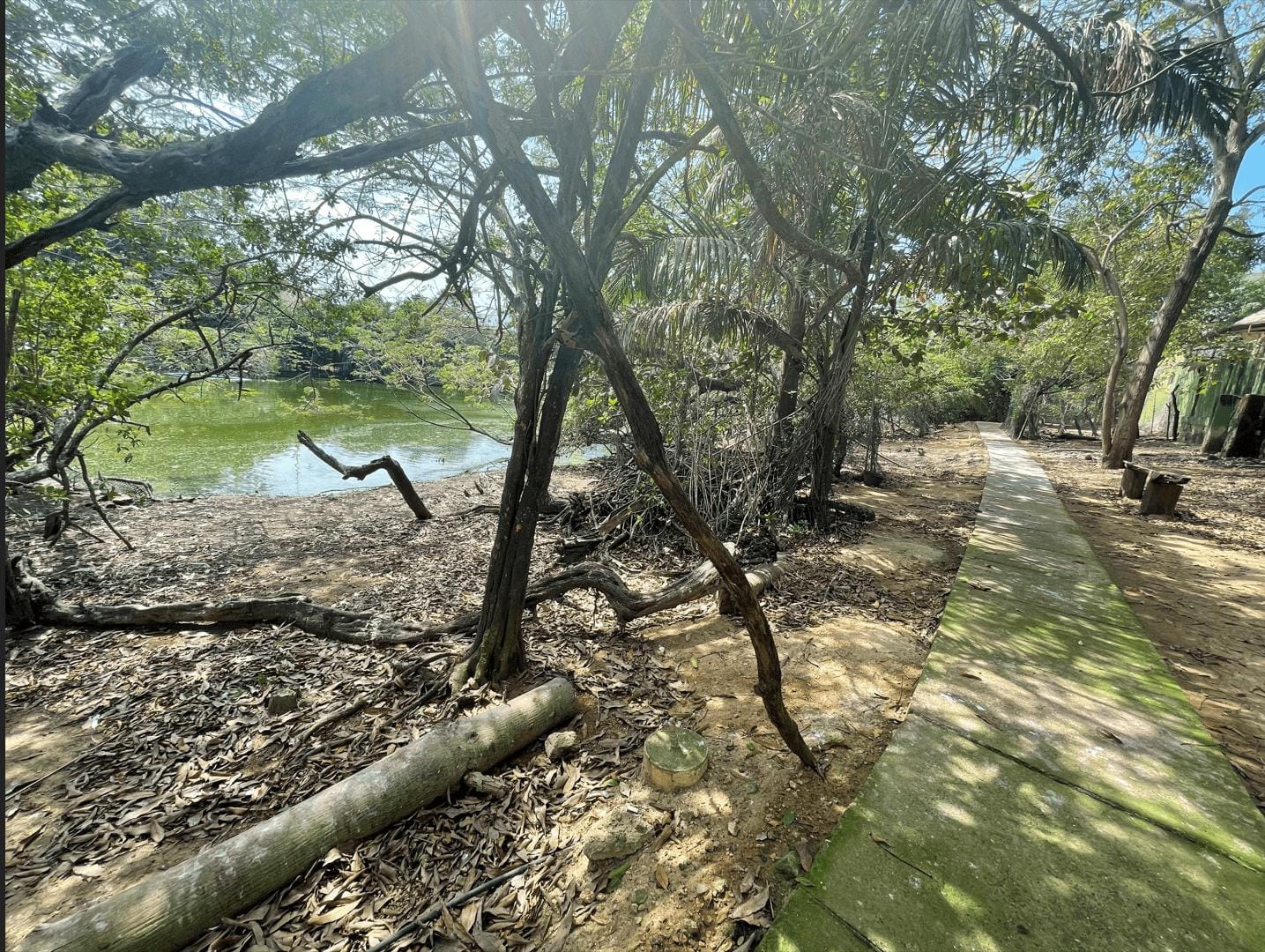 LOTE EN ARRIENDO 13 DE JUNIO - CARTAGENA