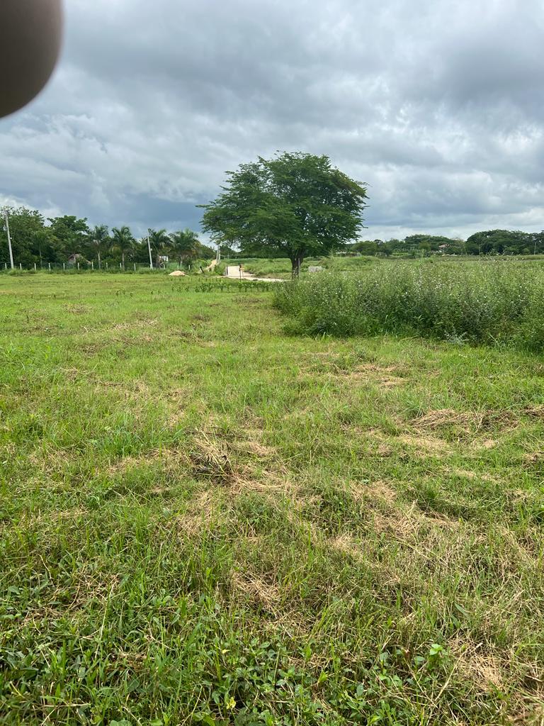 LOTE EN VENTA,   ARJONA - BOLIVAR