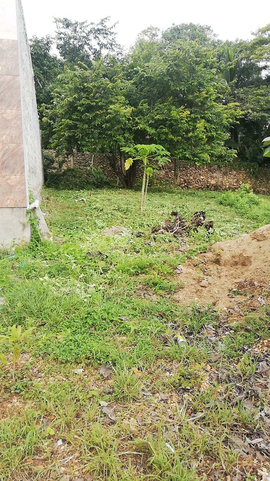 LOTE EN VENTA - TURBACO - BOLIVAR