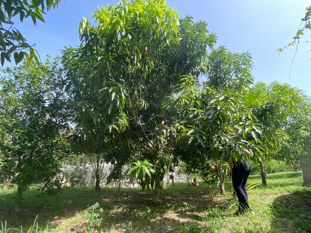 FINCA EN VENTA TURBACO - CARTAGENA