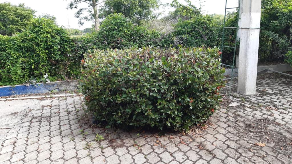 FINCA EN VENTA - ARJONA  BOLIVAR