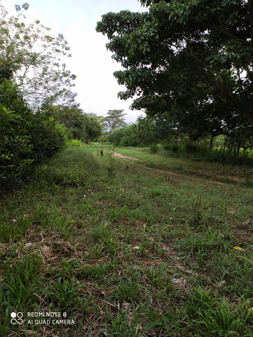 FINCA EN VENTA, GAMBOTE - CARTAGENA