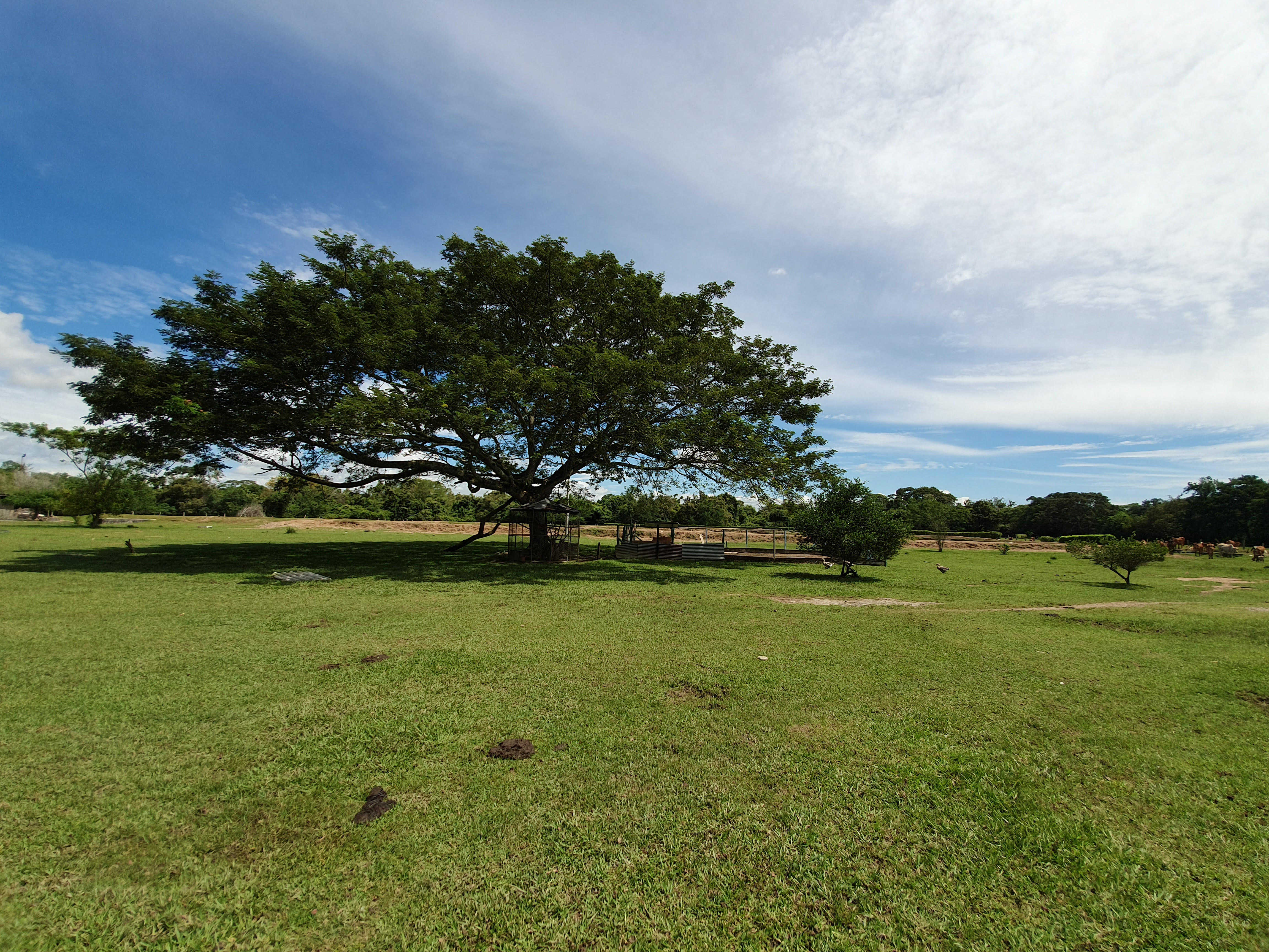 Cartagena Venta de Finca Purificación