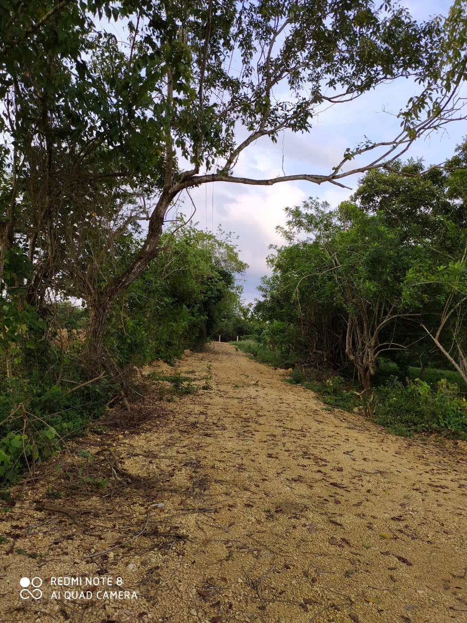 FINCA EN VENTA, GAMBOTE - CARTAGENA
