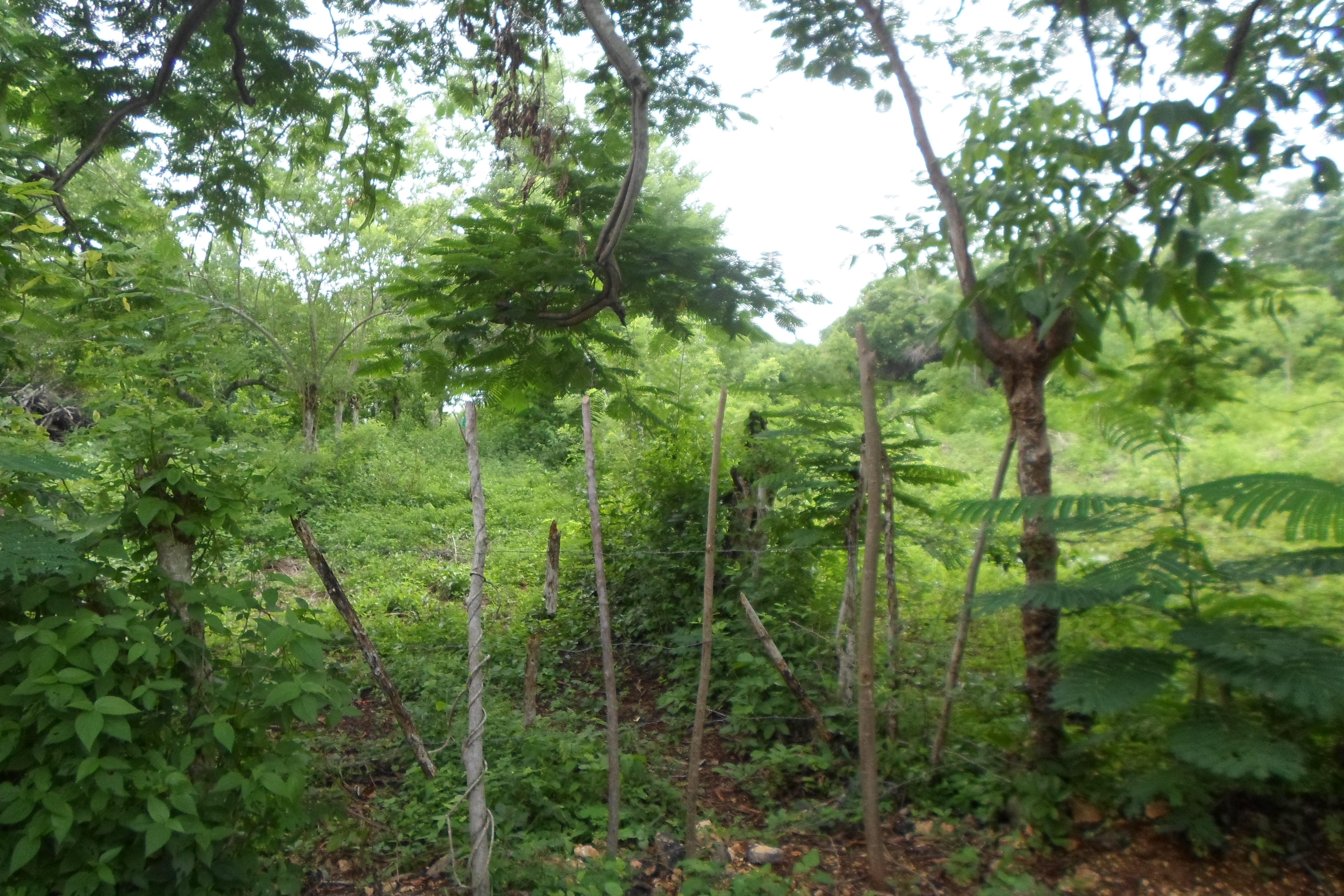 LOTE EN VENTA, TURBACO - CARTAGENA