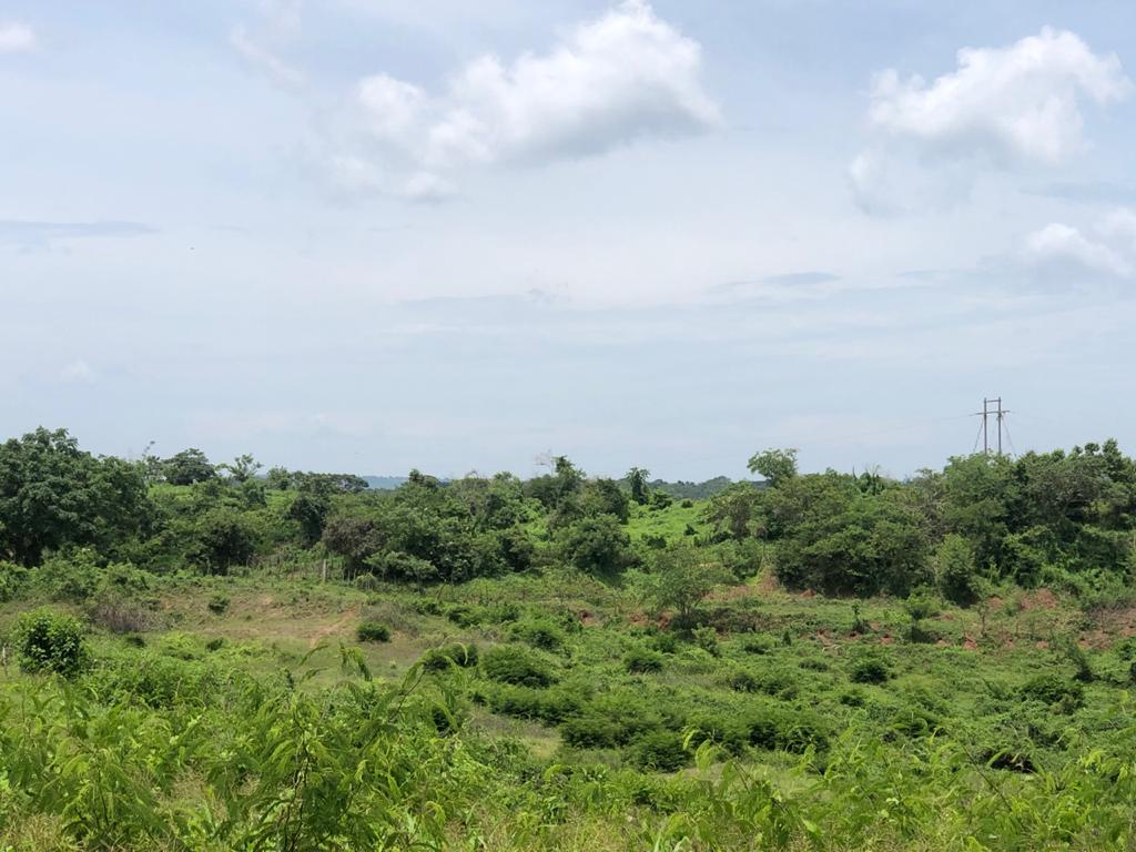 Cartagena Venta Lote Mamonal
