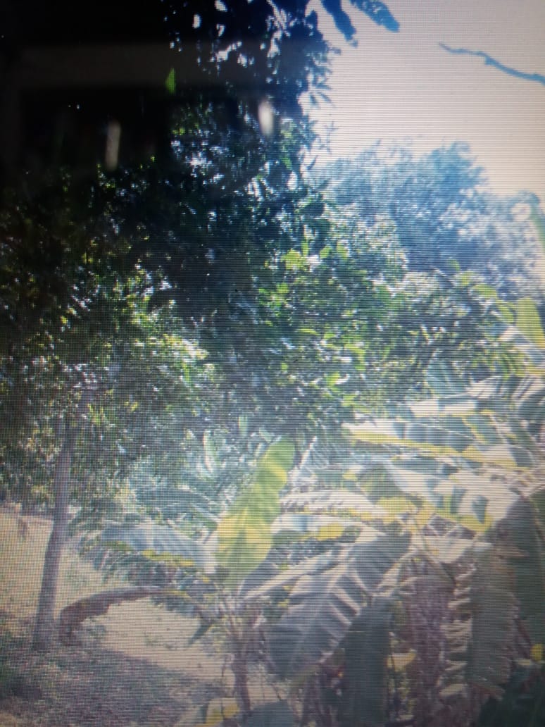 Cartagena Venta Lote Mamonal