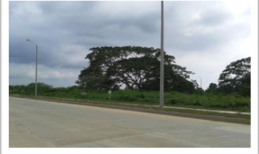 Cartagena Arriendo  Lote Variante