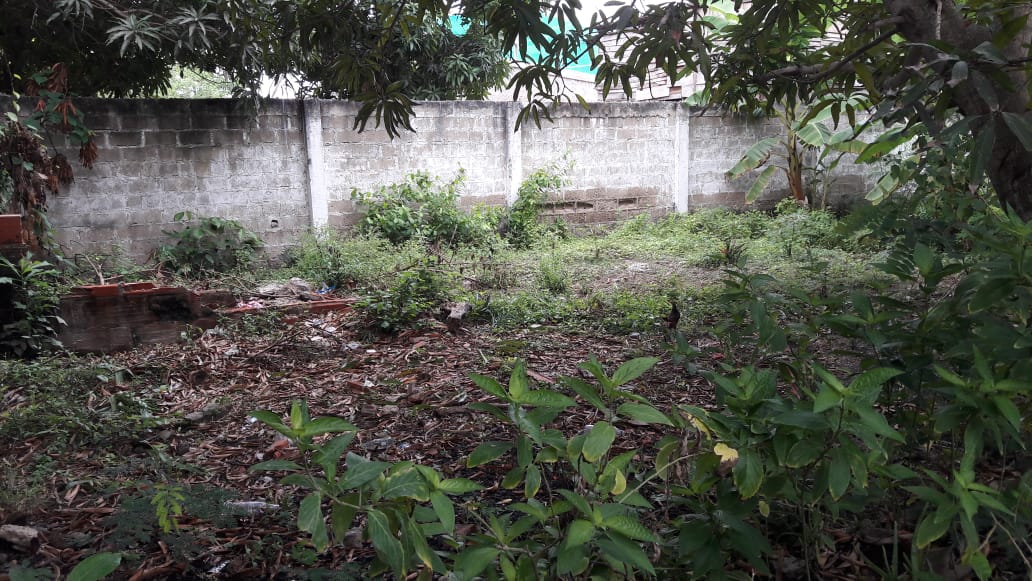 Cartagena Venta Lote Boquilla