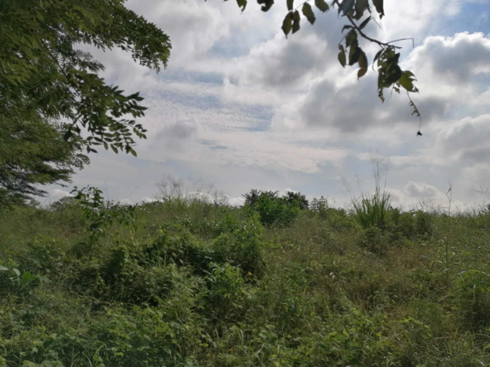 LOTE EN VENTA TURBANA  - BOLIVAR