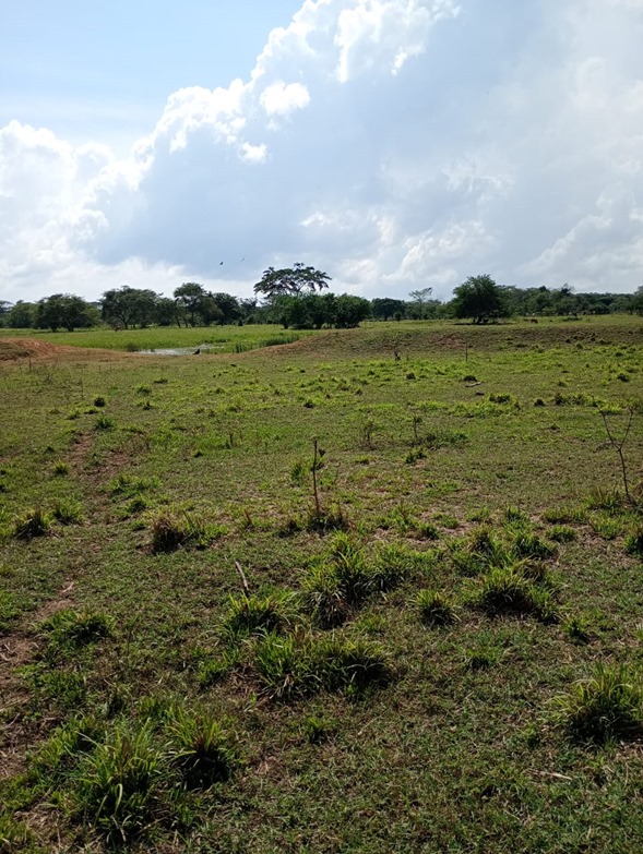 LOTE EN VENTA, ARJONA - CARTAGENA