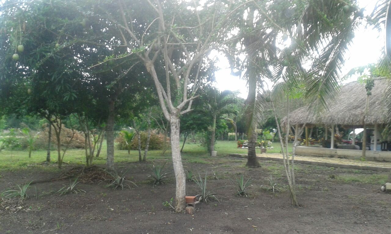 LOTE EN VENTA MAMONAL - CARTAGENA