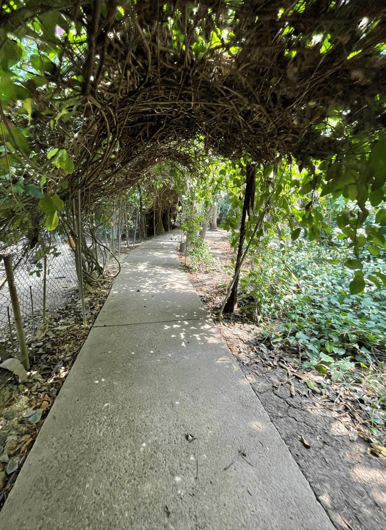 LOTE EN ARRIENDO 13 DE JUNIO - CARTAGENA