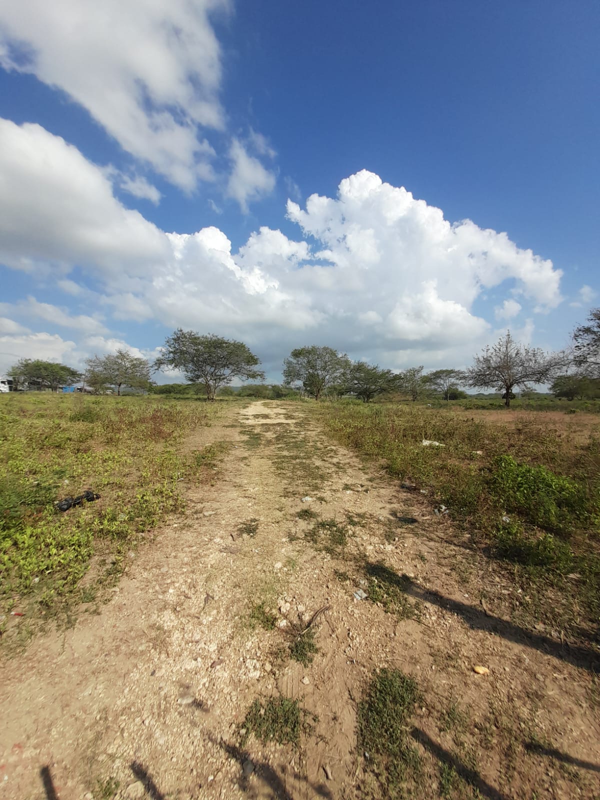 LOTE EN VENTA VARIANTE VÌA MAMONAL - CARTAGENA