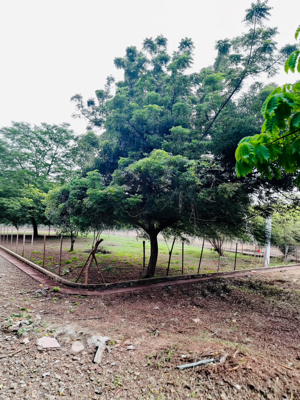 LOTE EN VENTA TURBACO-CARTAGENA