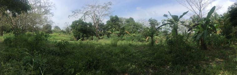 LOTE EN VENTA BAYUNCA - CARTAGENA