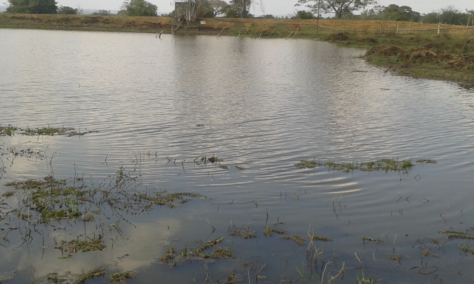 FINCA EN ARRIENDO MAHATES - CARTAGENA