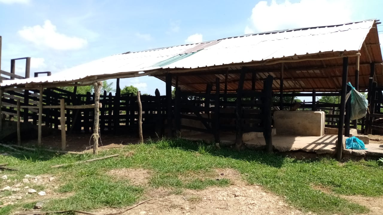 FINCA EN VENTA EN LA CORDIALIDAD - BOLIVAR