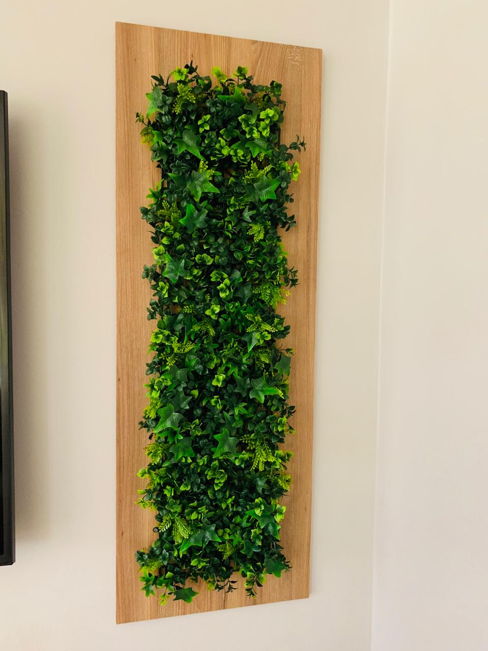 Cartagena Venta de Apartamento Zona Norte