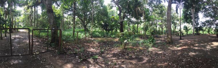 LOTE EN VENTA BAYUNCA - CARTAGENA