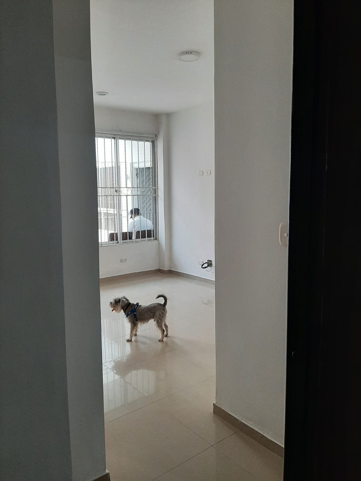 APARTAMENTO EN VENTA LOS ALPES - CARTAGENA