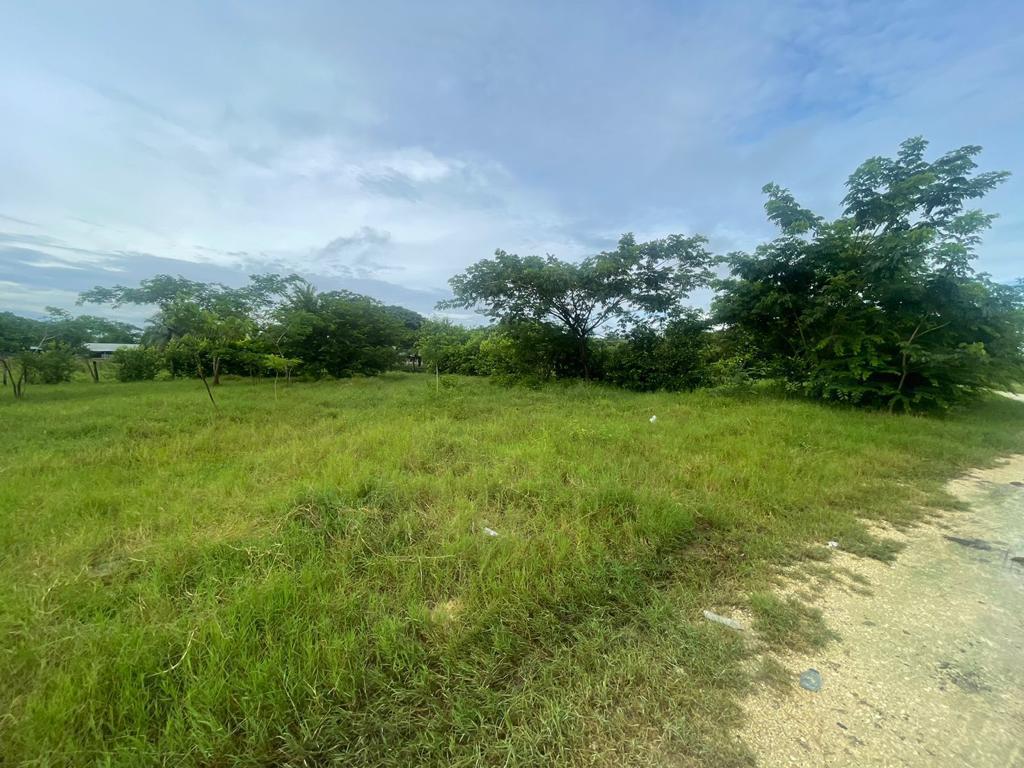 LOTE EN VENTA,   ARJONA - BOLIVAR