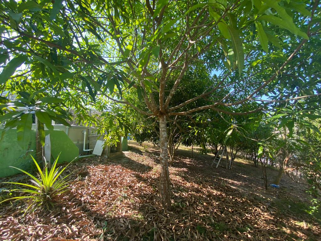 FINCA EN VENTA TURBACO - CARTAGENA