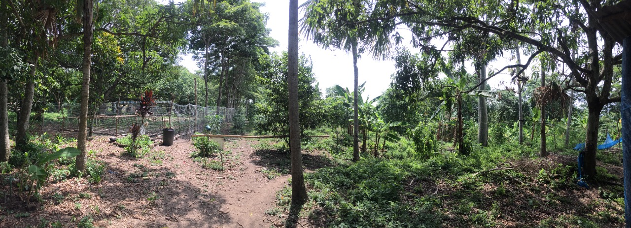 LOTE EN VENTA BAYUNCA - CARTAGENA