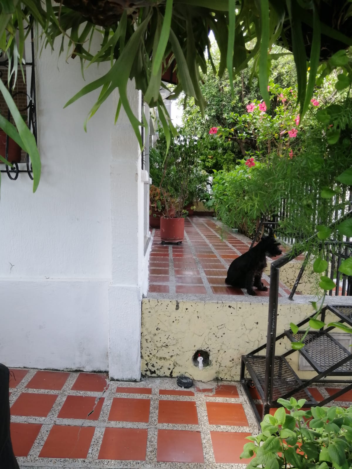 CASA EN VENTA, LA CASTELLANA - CARTAGENA