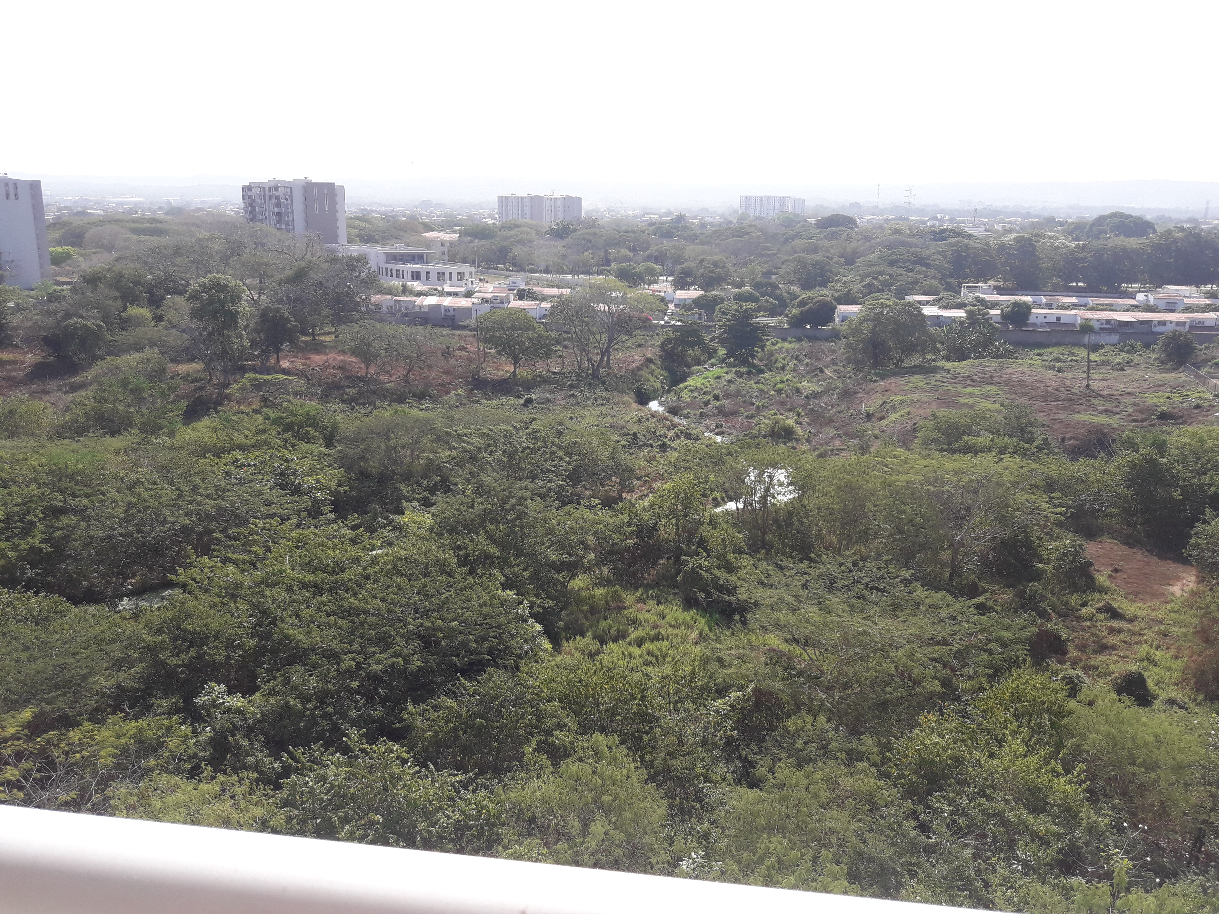 Cartagena Venta Apartamento Ternera