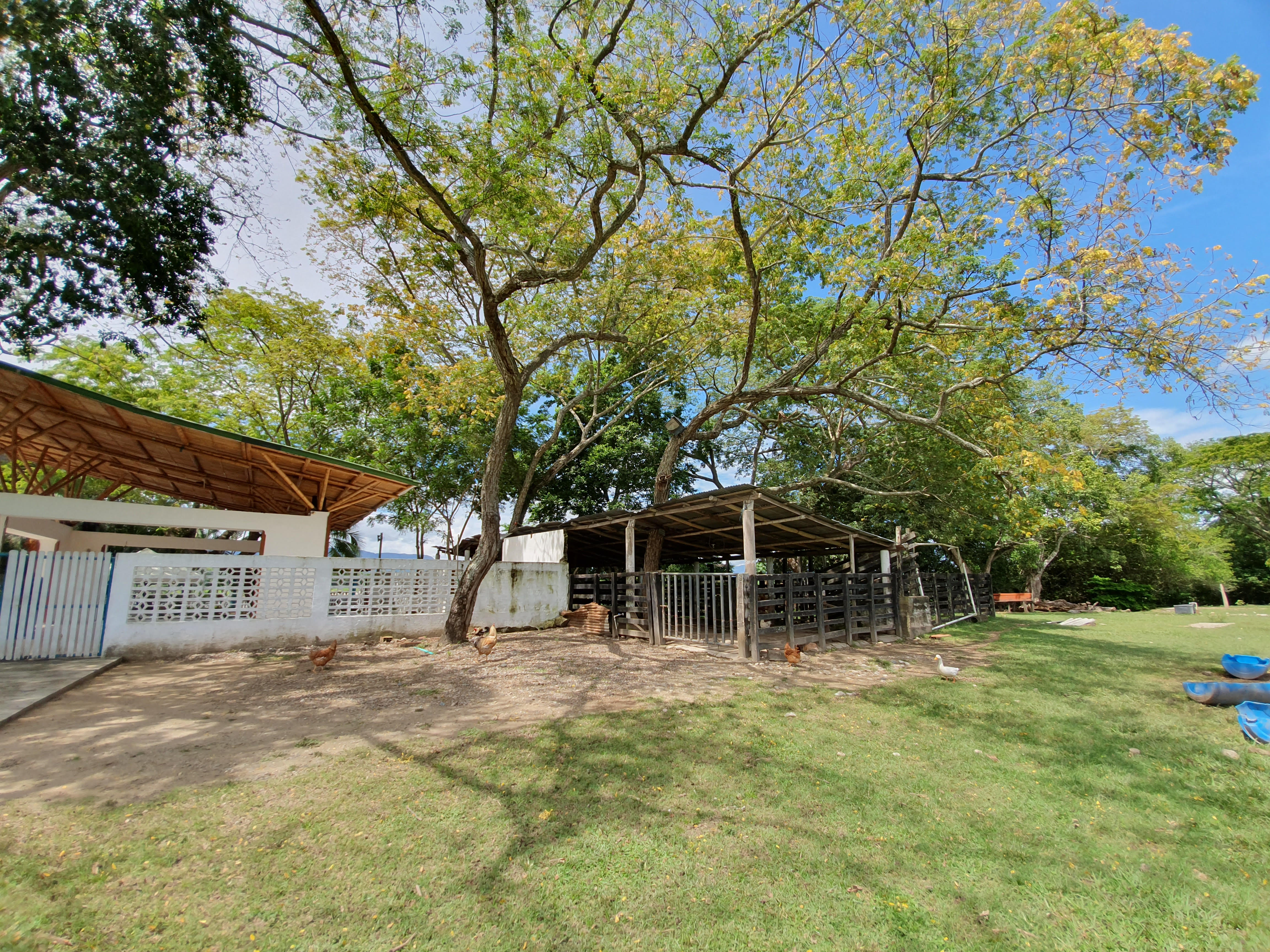 Cartagena Venta de Finca Purificación