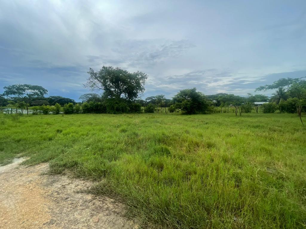 LOTE EN VENTA,   ARJONA - BOLIVAR