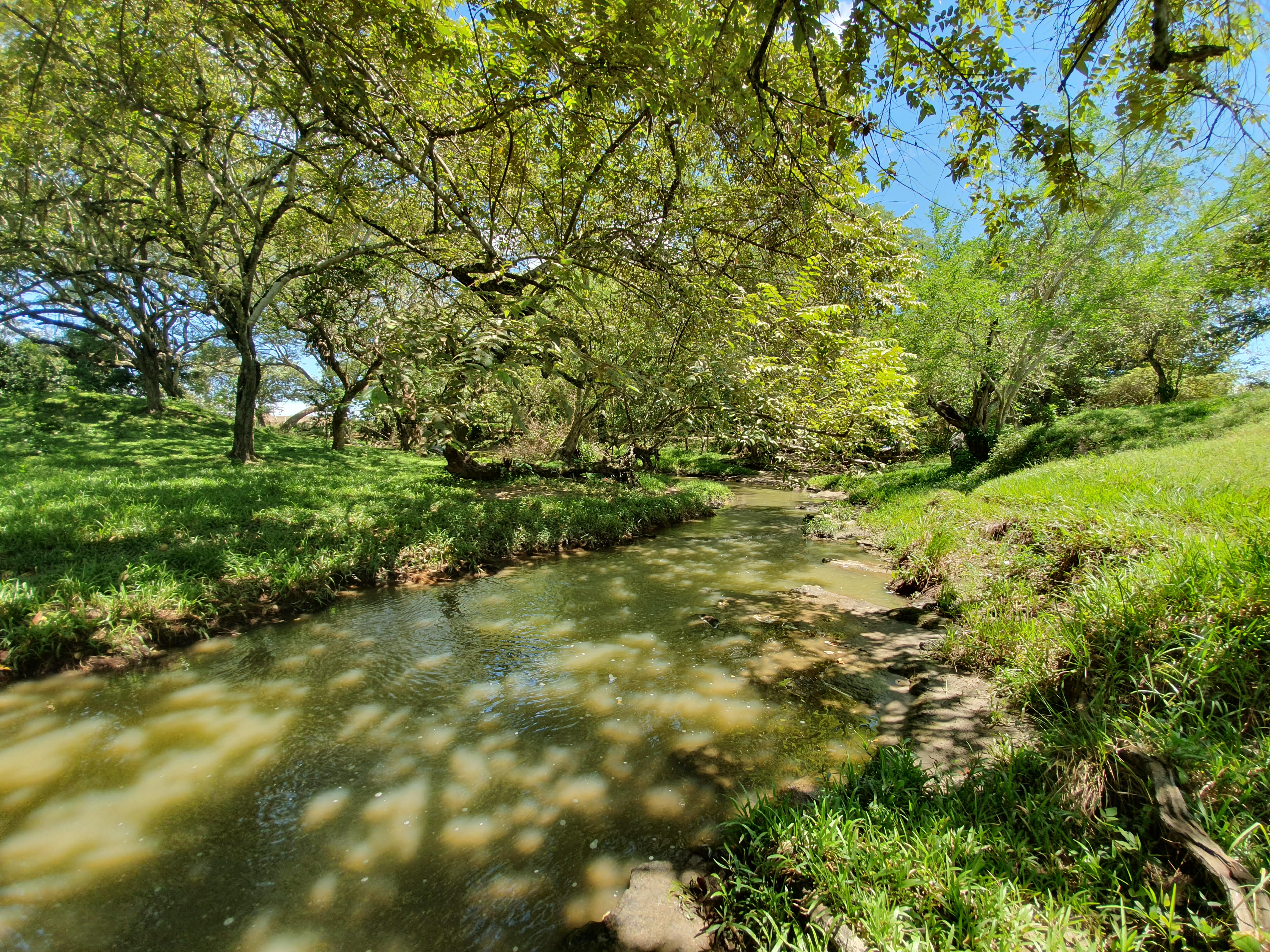 Cartagena Venta de Finca Purificación