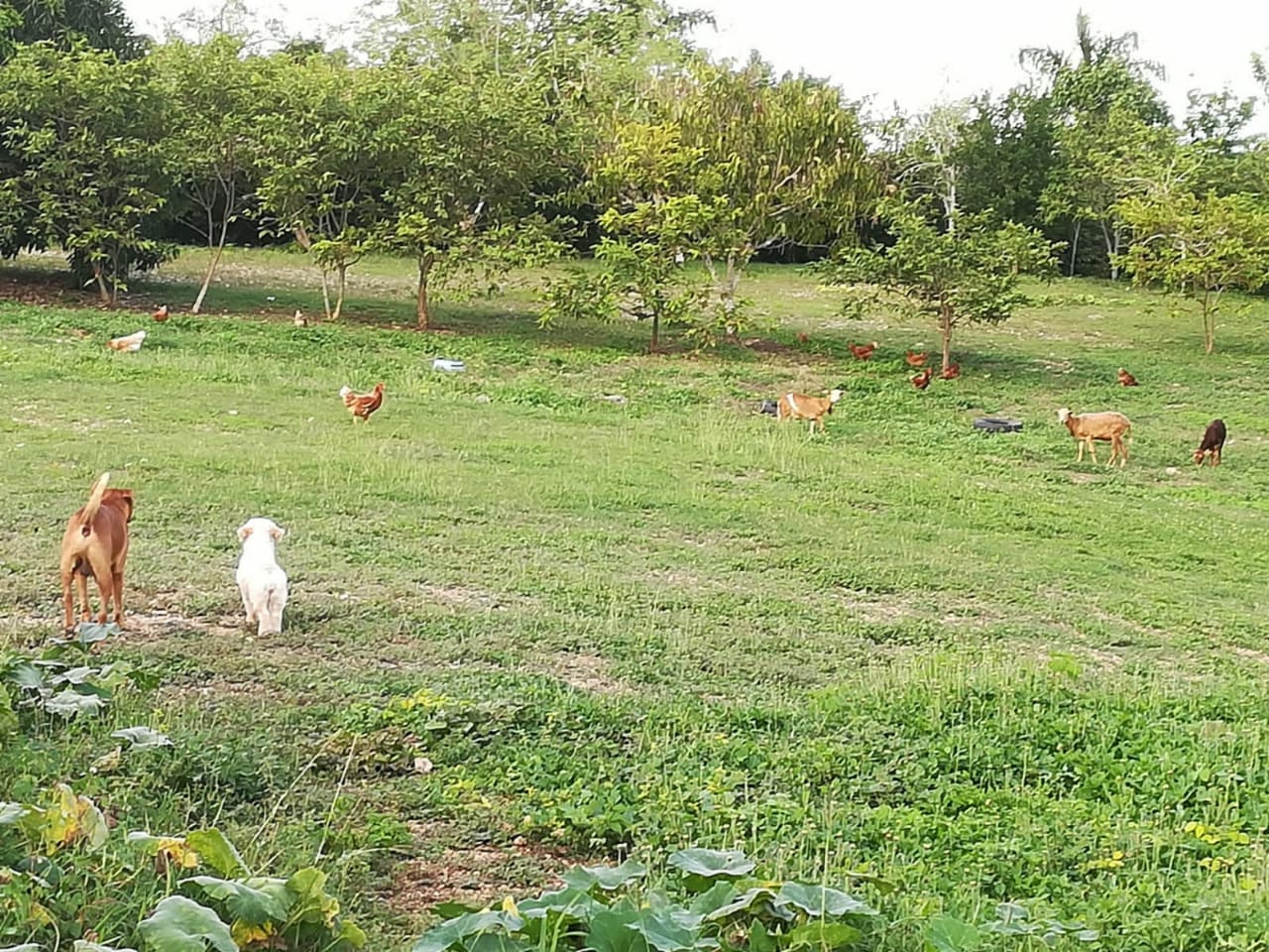 VENDO CASA FINCA ARJONA - BOLIVAR