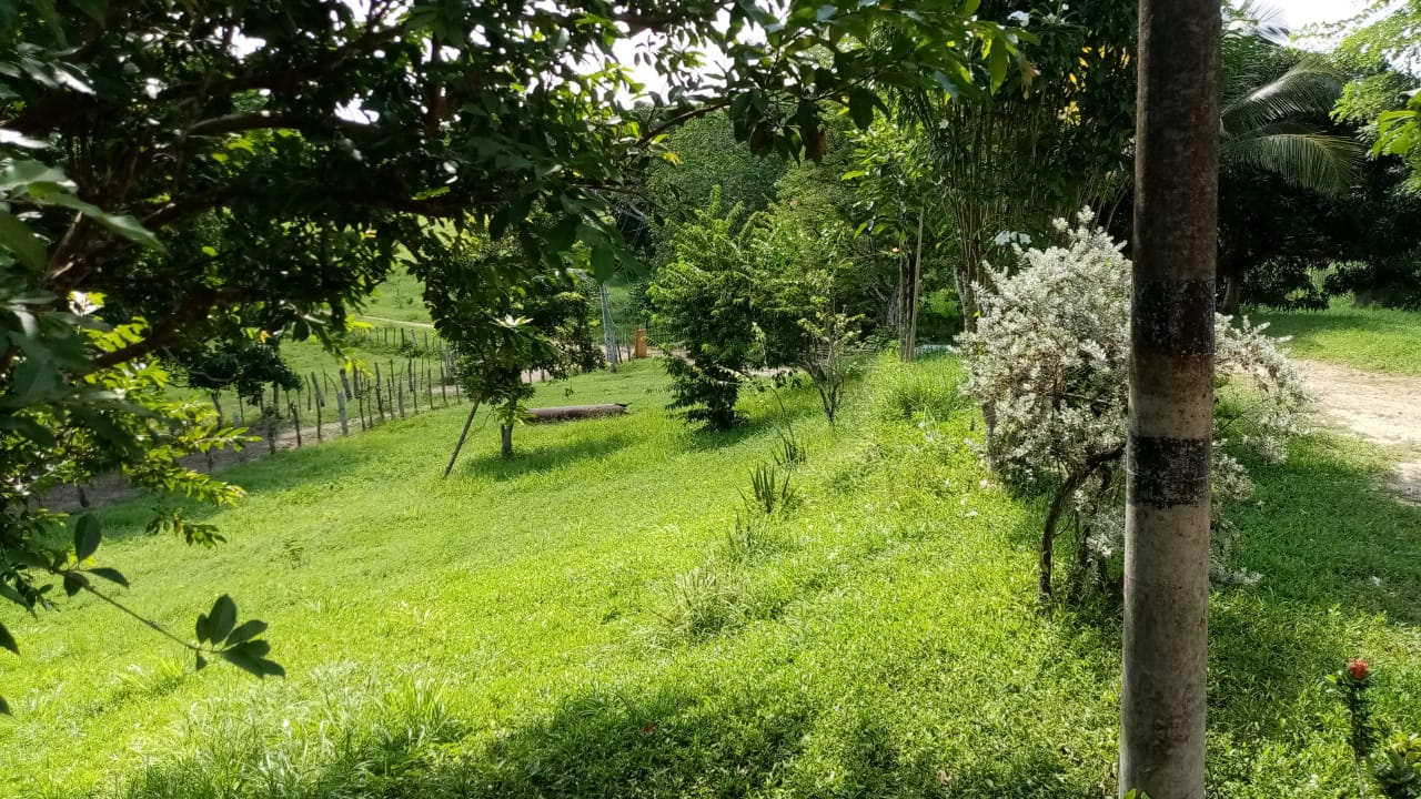 FINCA EN VENTA EN LA CORDIALIDAD - BOLIVAR