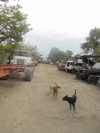 Cartagena Venta de Lote Bosque