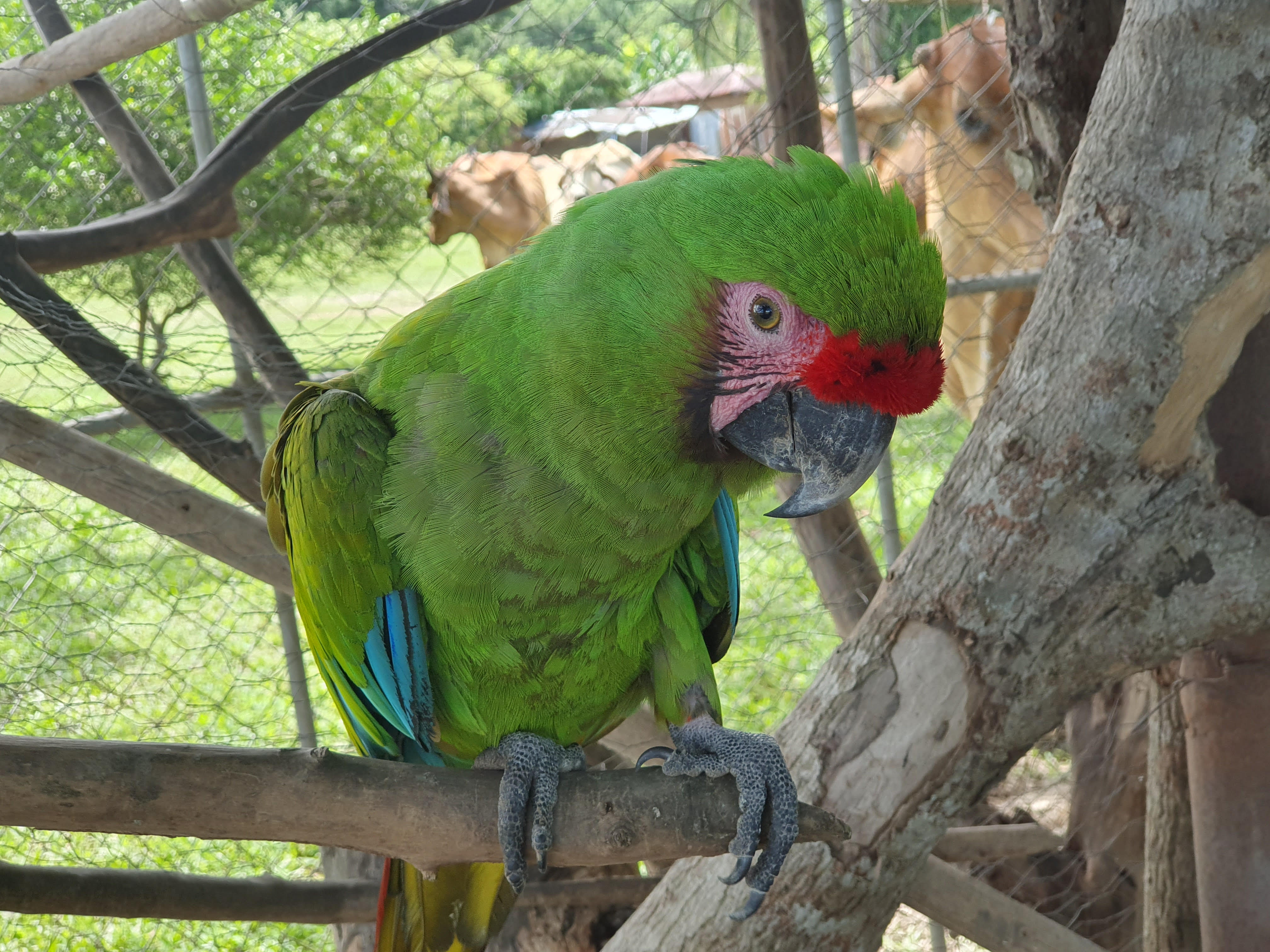 Cartagena Venta de Finca Purificación