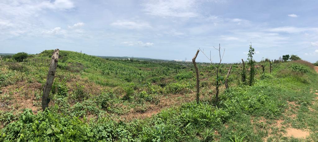 Cartagena Venta Lote Mamonal