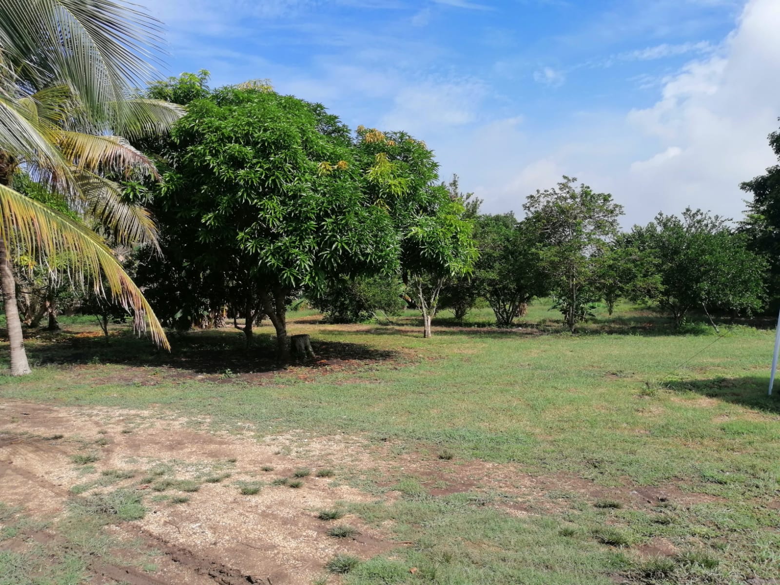 LOTE EN VENTA TURBANA  - BOLIVAR