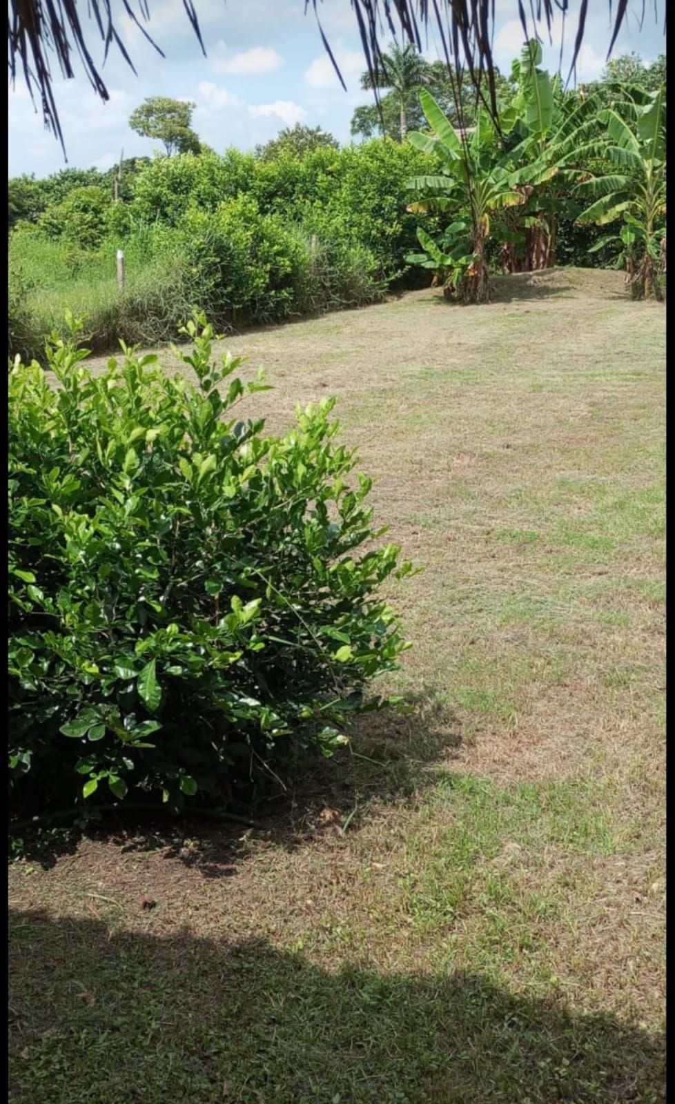 LOTE EN VENTA SANTA ROSA - CARTAGENA