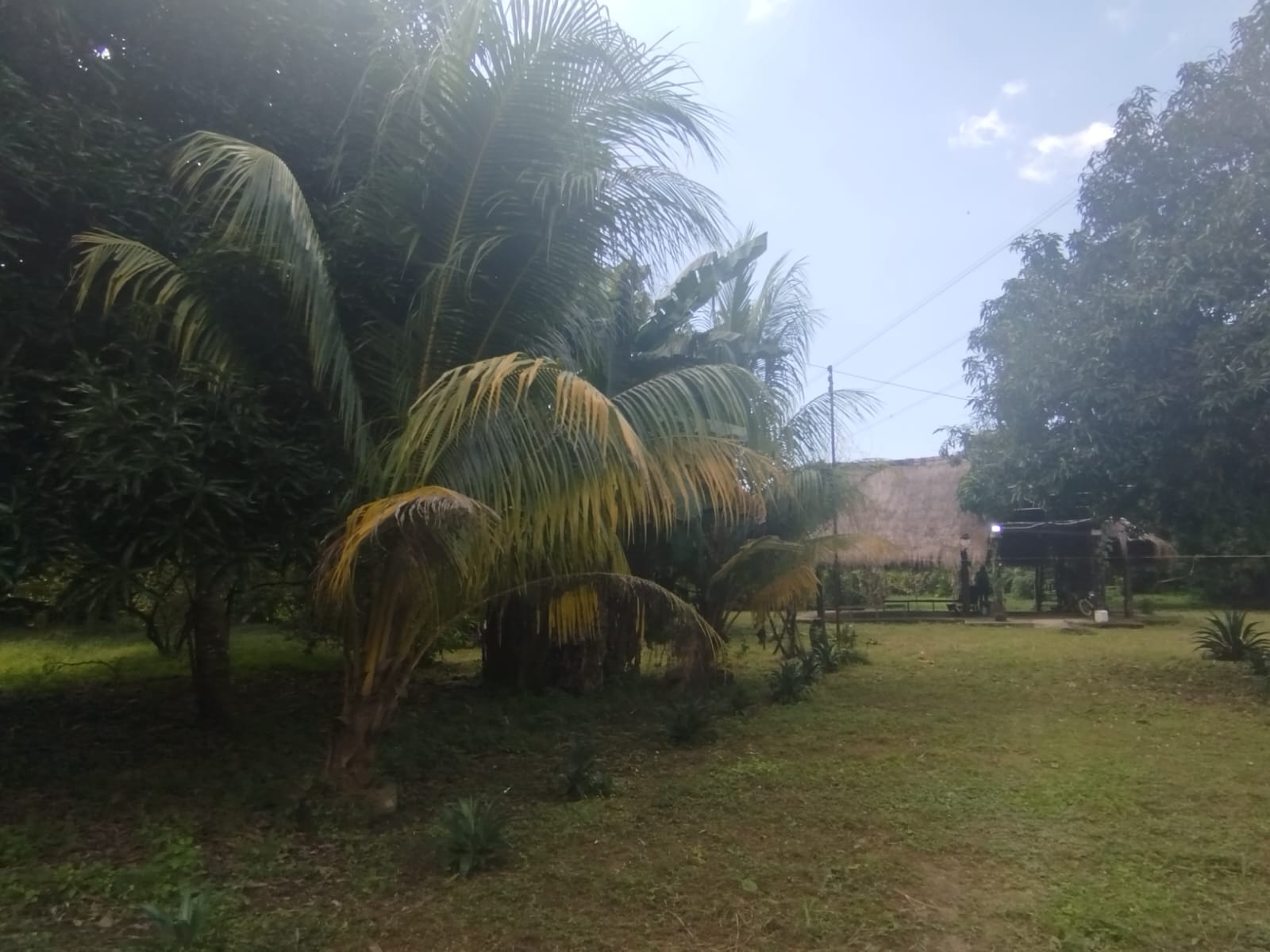 FINCA EN VENTA SANTA ROSA - CARTAGENA