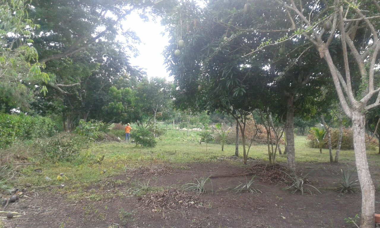 LOTE EN VENTA MAMONAL - CARTAGENA