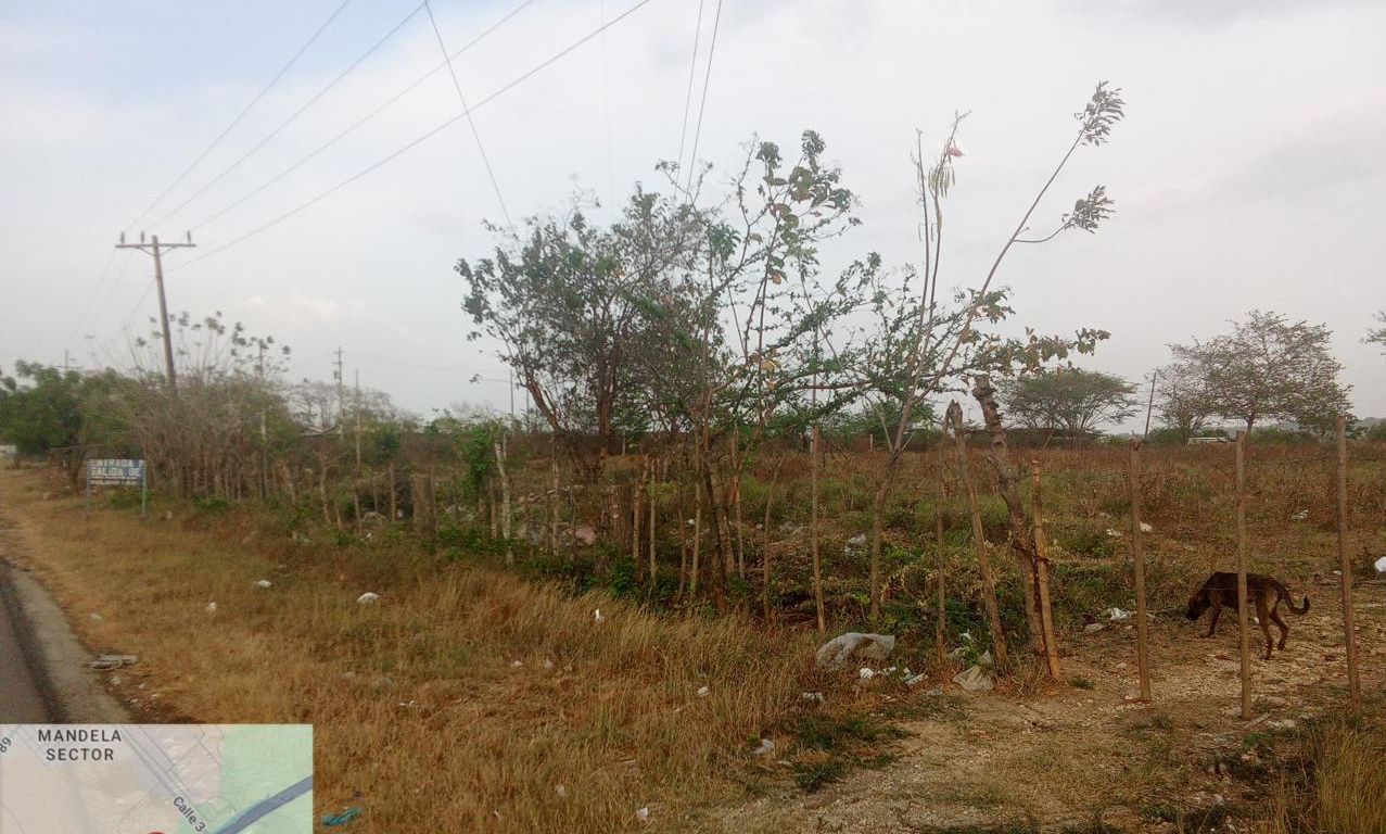 LOTE EN VENTA MAMONAL - CARTAGENA