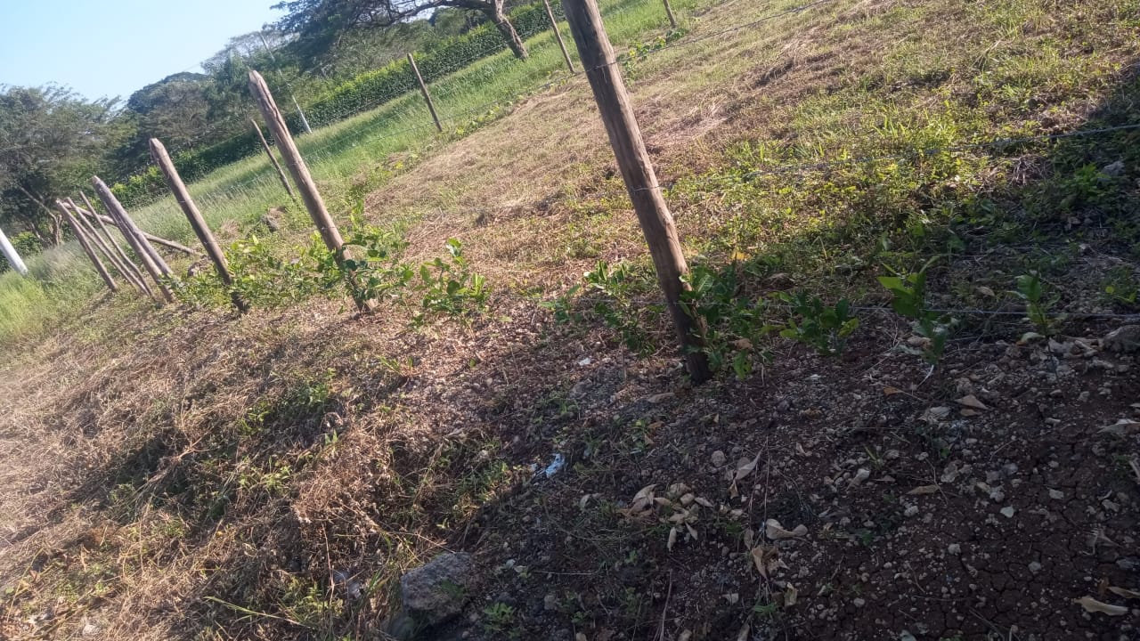 LOTE EN VENTA ARJONA - CARTAGENA